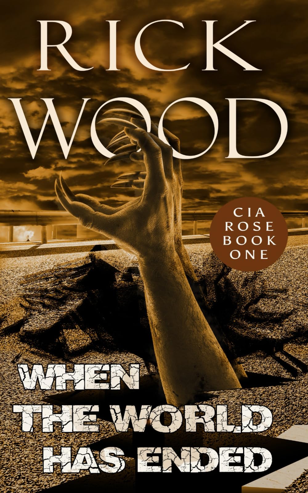 When the World Has Ended: A Post Apocalyptic Thriller (Cia Rose)