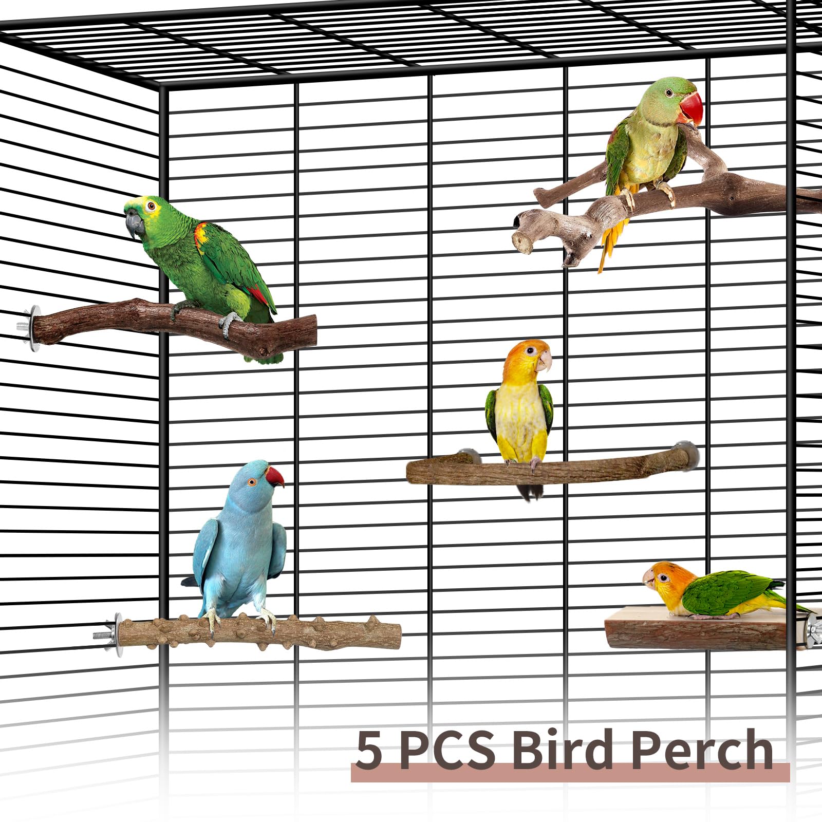 Bird Perches, 5pcs Natural Wood Birds Stand Branch, Bird Perch Chewing Stick Cage Accessories Parrot Climbing Standing Branches Paw Grinding Fork Sets for Cockatiels Ringneck Parrots - image 7