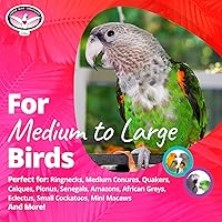 Vista 3 de Super Bird Creations SB301 - Juguete masticable para pájaros de fiesta de papel con palitos de paletas coloridos, cuello de anillo, loro mediano