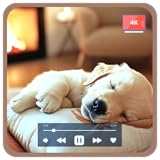 Tranquilo Flowscreen Apps