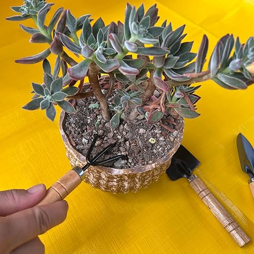 Miniatura 4 de Mini juego de herramientas de jardinería para niños - Kit de herramientas de mano de jardín de 3 piezas con pala, paleta y rastrillo para