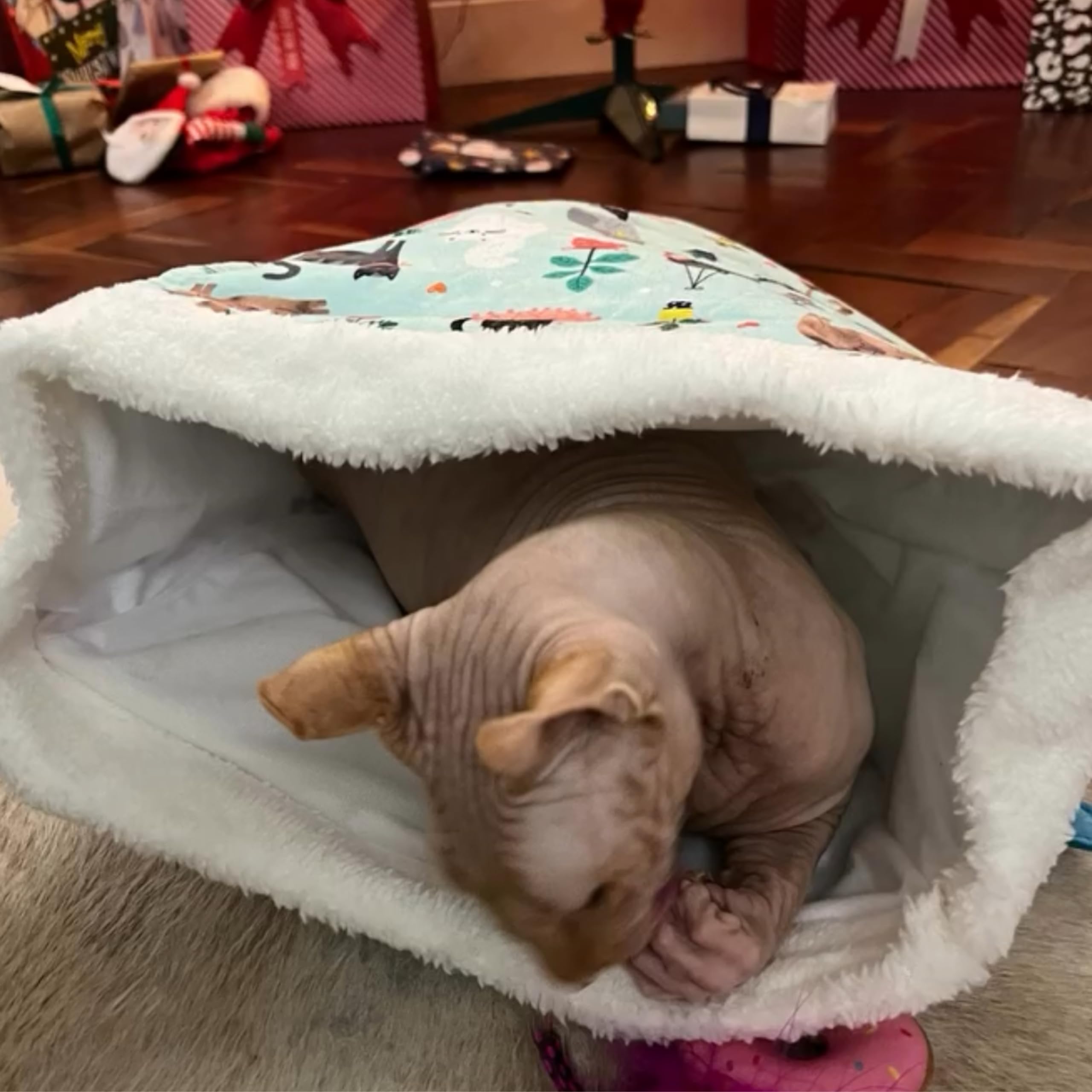 Interactive Crinkle Cat Bag Toy: Lightweight, Portable, and Stimulating Fun for Cats and Kittens, Multicoloured - Image 3