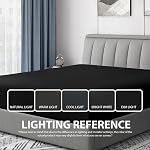 Cathay Home Luxury 1 Piece Fitted Sheet, Ultra Soft, Wrinkle & Fade Resistant, 14 Inch Deep Pocket, Double Brushed Feel, All Season Comfort, Easy Care Bedding (Double Size, Black)