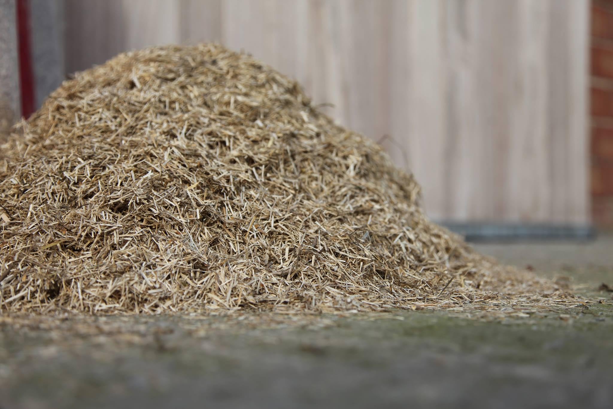 Ecoflax Lettiera di Paglia di Lino per Cavalli, Polli e Conigli | Fondo per Box Cavalli - Sacco da 120 Litri / 20 Kg