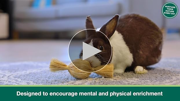 Amazon.com : Oxbow Enriched Life Roll Arounds, Rabbit Toys
