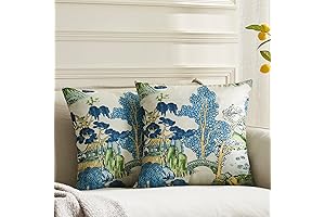 Chinoiserie Pillow Covers: Pack of 2