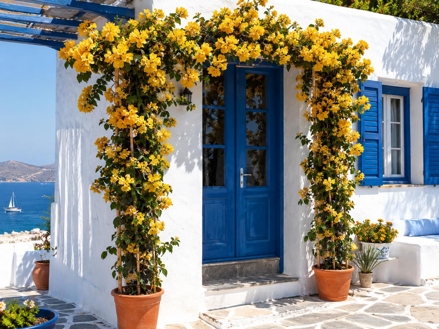 POWERS TO FLOWERS - BOUGAINVILLEA, BUGANVILLEA GIALLA IN VASO 19CM DIAMETRO, ALTEZZA 70CM, pianta vera