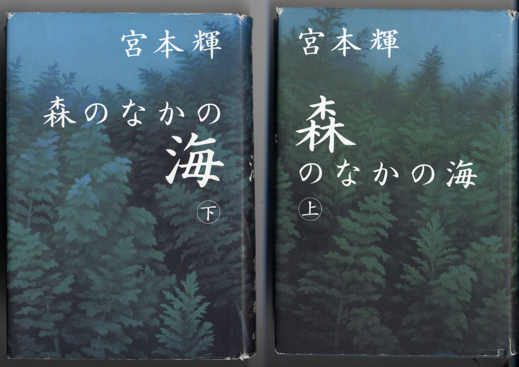 森のなかの海 上下　宮本輝 81KUWWnhRYL.jpg