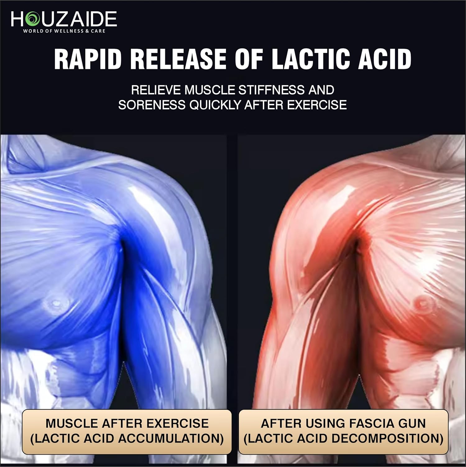 HOUZAIDE WORLD OF WELLNESS & CARE Deep Tissue Percussion Massage Gun for Athletes, Gym Enthusiast, Sports Person & Physiotherapist for Muscle Therapy, 99 Speeds, Includes 4 Massage Heads | Holi Gift options