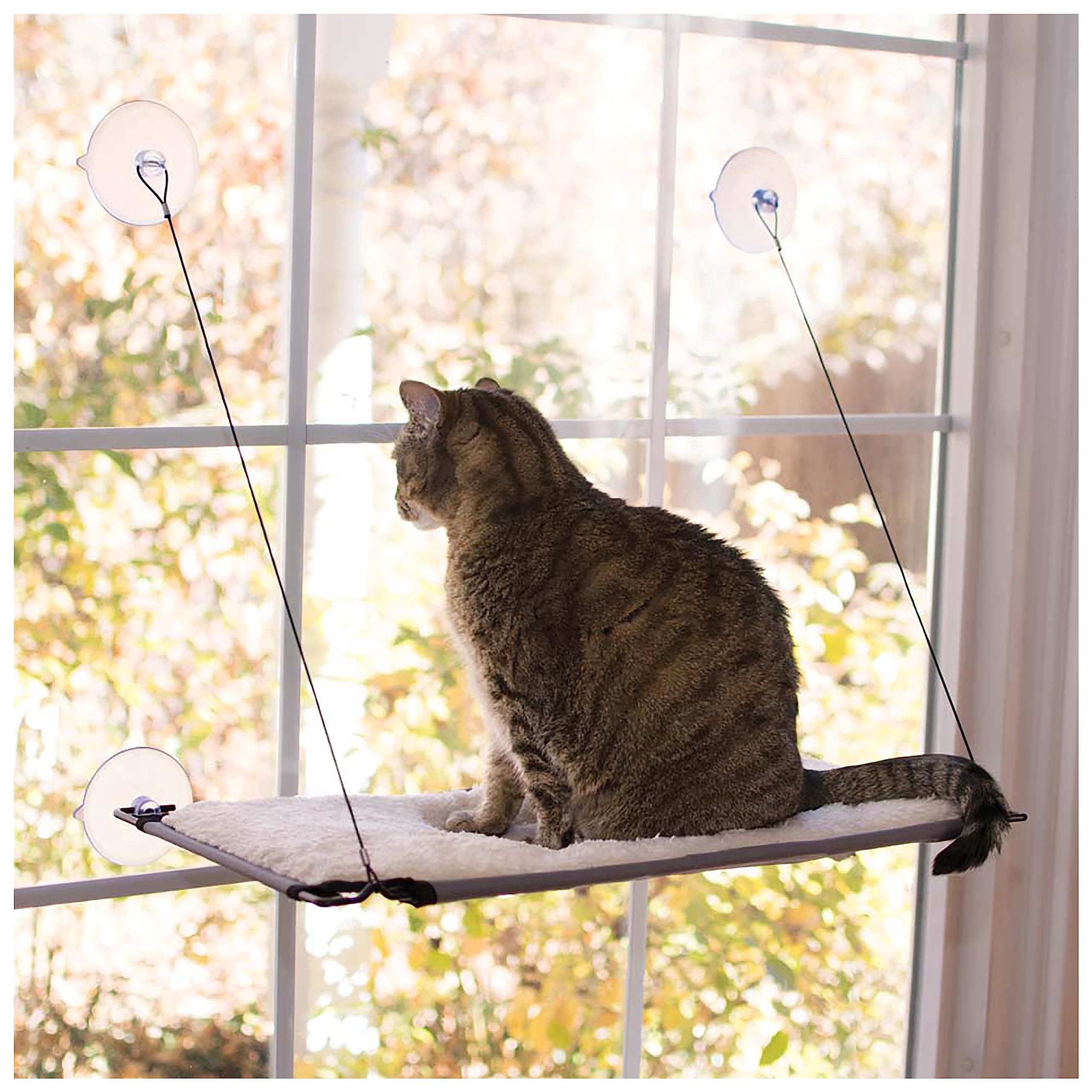 K&H Pet Products Window Lounger Cat Window Perch for Large Cats, Sturdy Kitty Sill Window Hammock Bed, Steel Frame, Sturdy Suction Cups, Washable Shelf Cover, Foldable - 23 X 12in Fleece