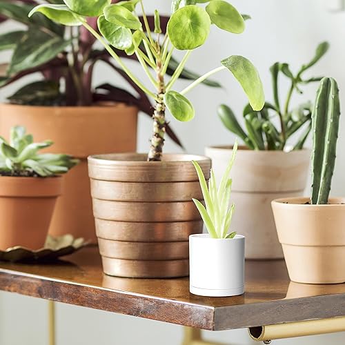 Miniatura 6 de D'vine Dev Paquete de 24 mini macetas de plástico de 2 pulgadas, pequeñas macetas de jardín para plantas con agujeros de drenaje y platillos, color