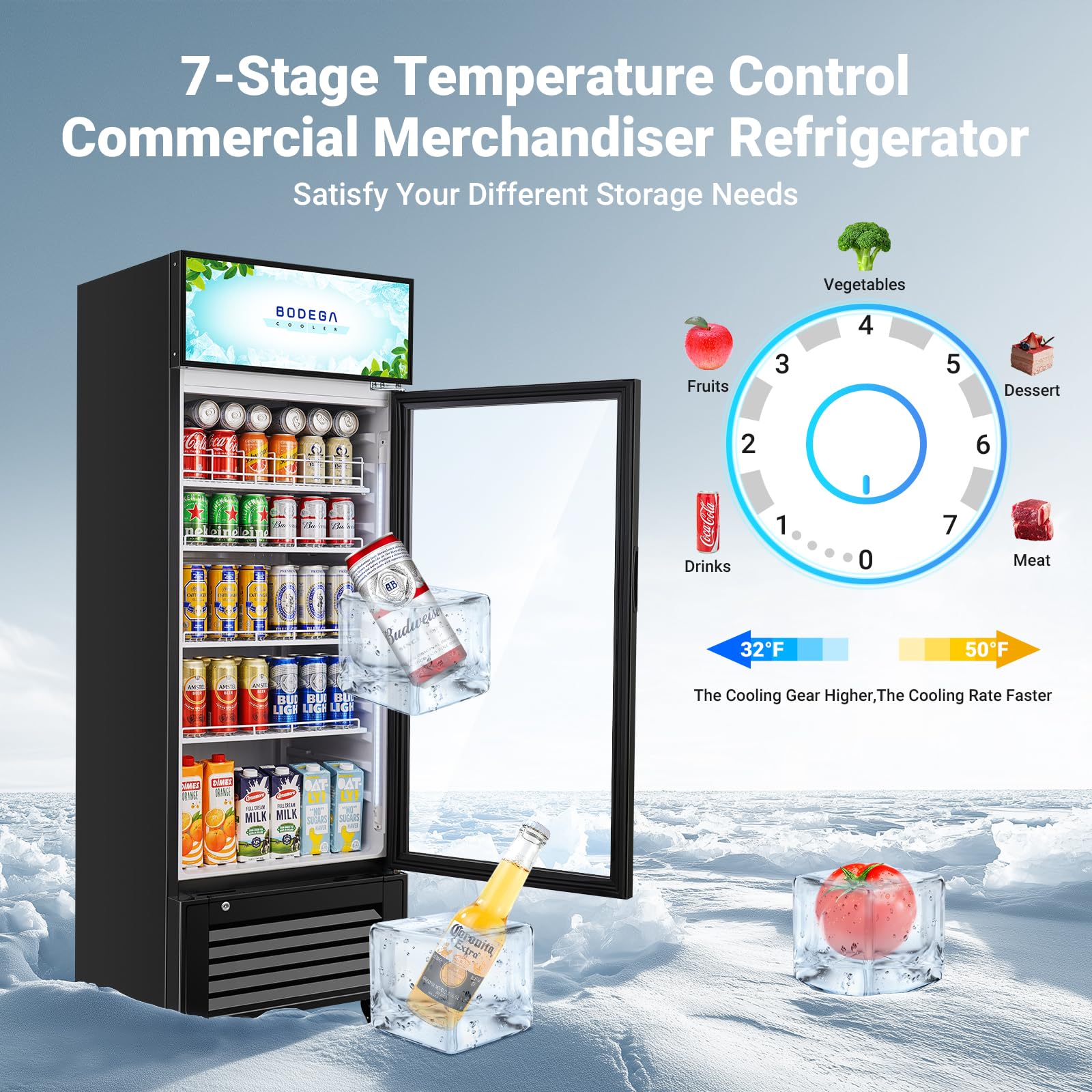 Bodegacooler Commercial Beverage Refrigerator And Cooler, 10.0 Cu.Ft Commercial Merchandiser Refrigerator With Soft LED Light, Commercial Fridge, Display Refrigerator With 240 Cans & 120 Bottles. on Fridge.com - View 2