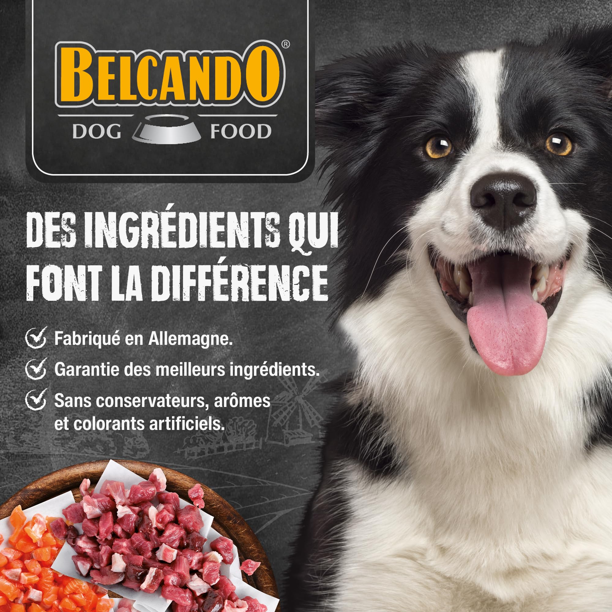 BELCANDO Finest GF Salmon [1 kg] Sans Céréales pour Chiens