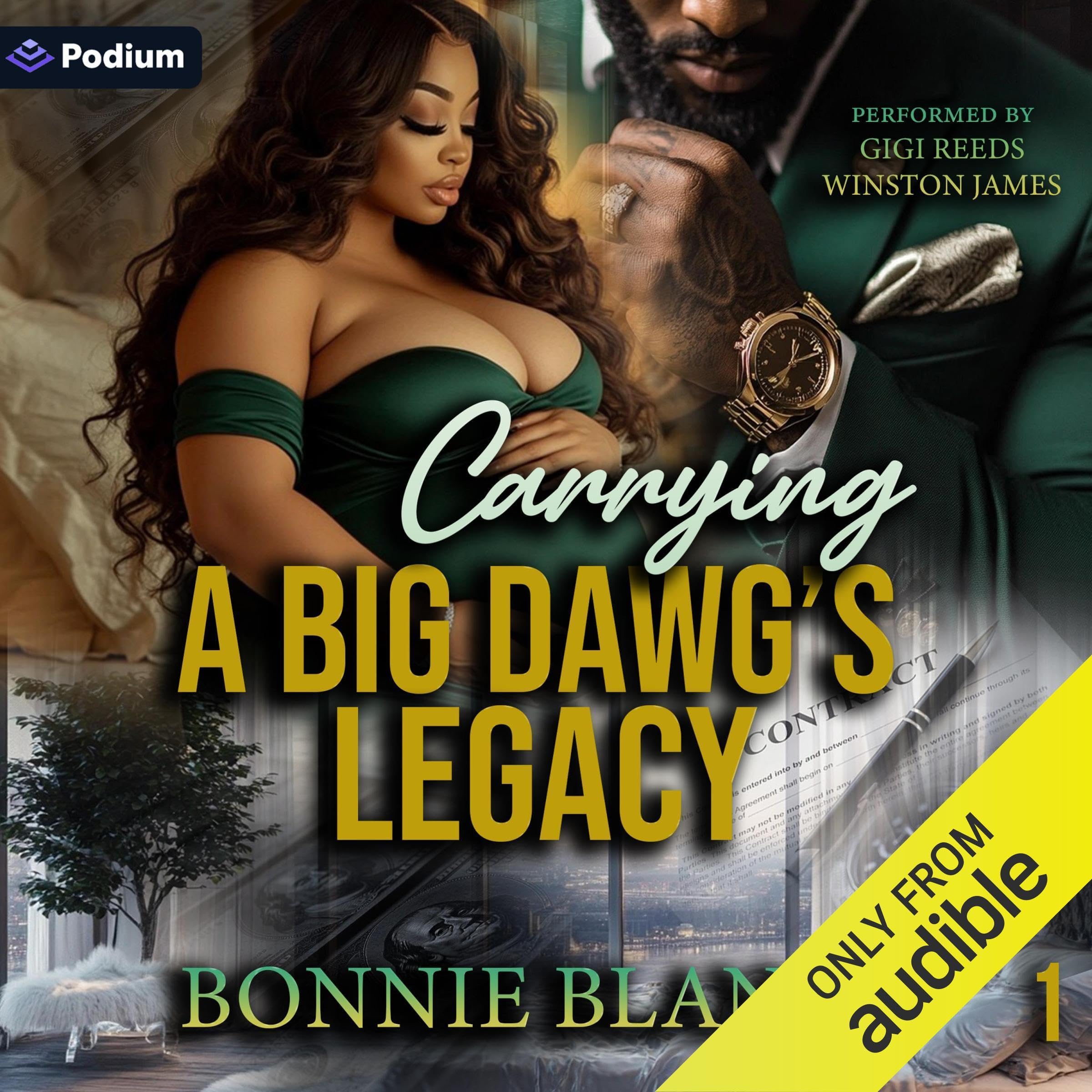 Cover art for Carrying a Big Dawg's Legacy: His BBW Surrogate
