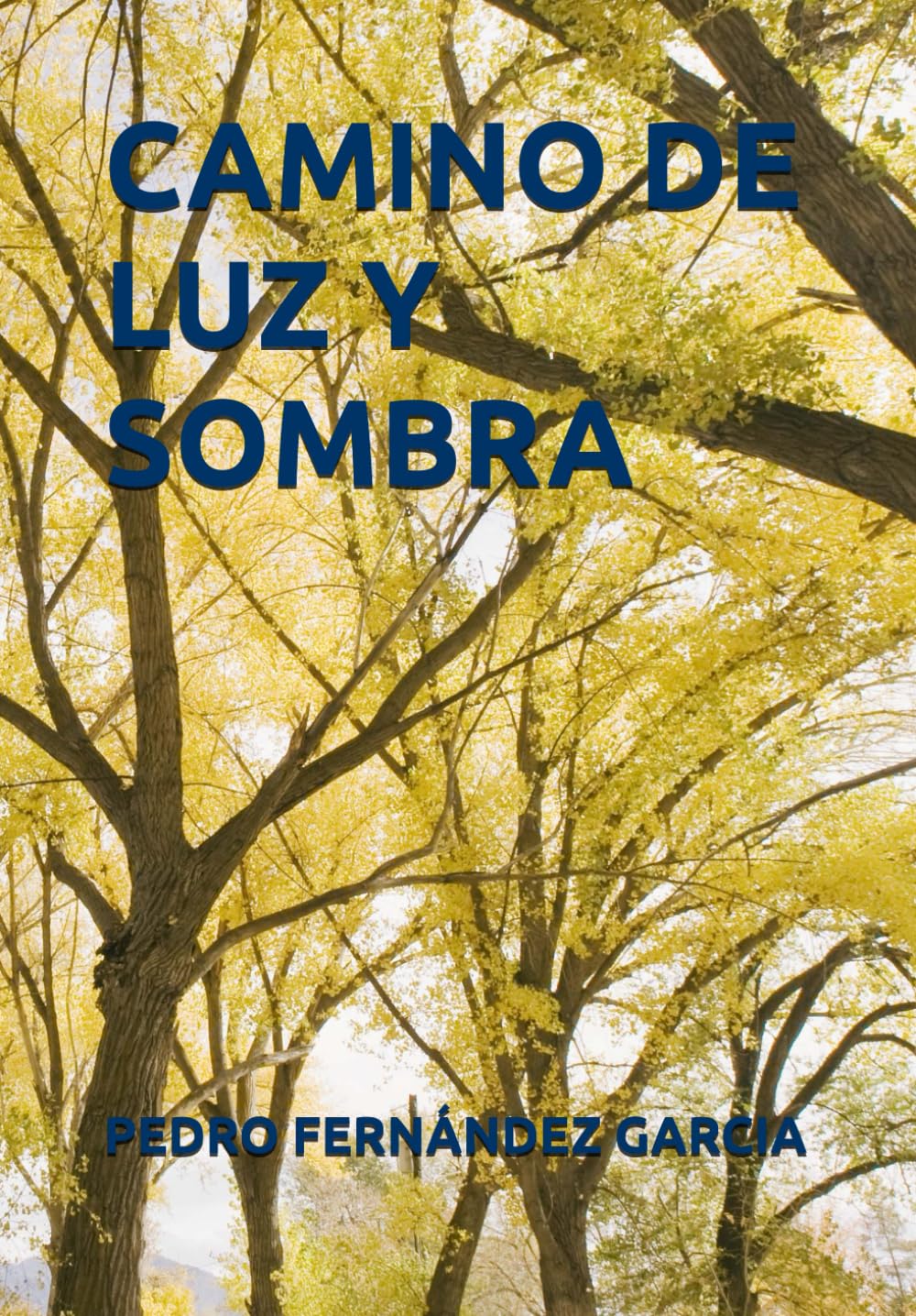 CAMINO DE LUZ Y SOMBRA