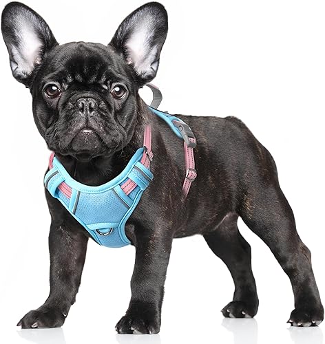 Miniatura 85 de BARKBAY - Arnés sin tirones para perro, reflectante, con clip frontal y asa de fácil control para entrenamiento, paseos y correr, con bolsillo