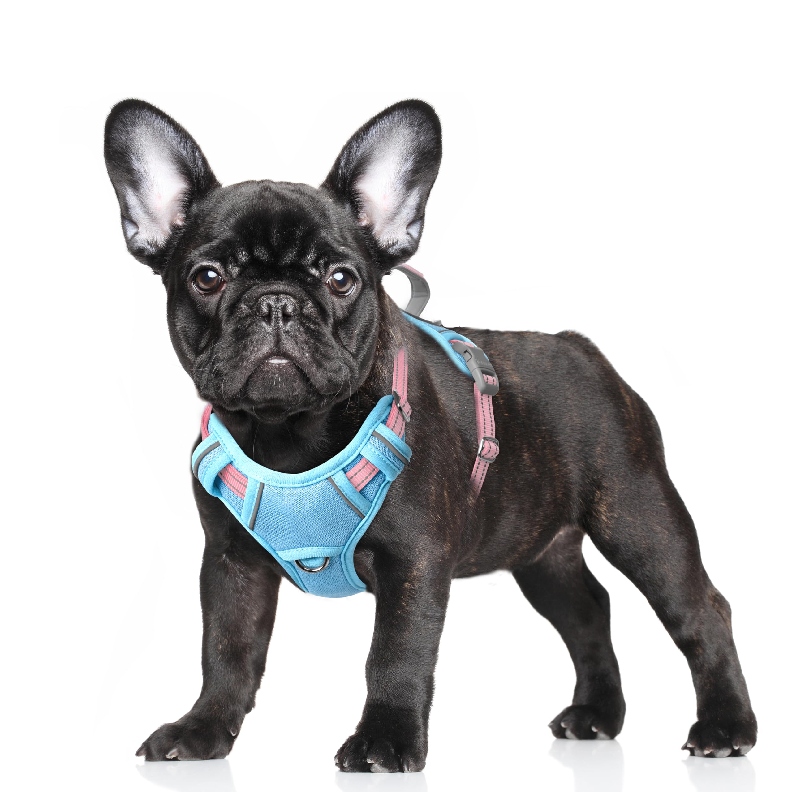 BARKBAY No Pull Dog Harness Large Reflective Dog Harness with Front Clip and Easy Control Handle for Walking Training Running with ID tag Pocket(Baby Blue & Baby Pink,S)