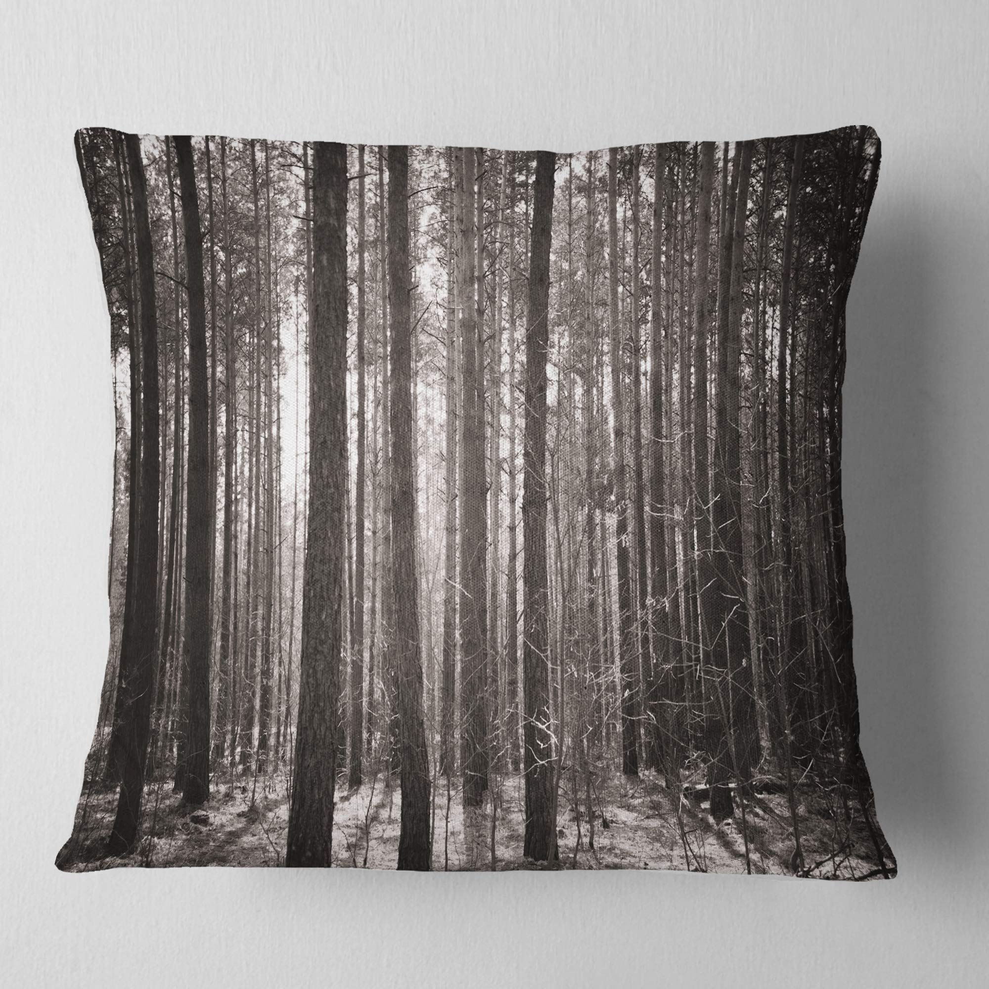 Amazon.com: DesignQ CU14001 Pillow Cushion, 18x18, Grey : Home & Kitchen