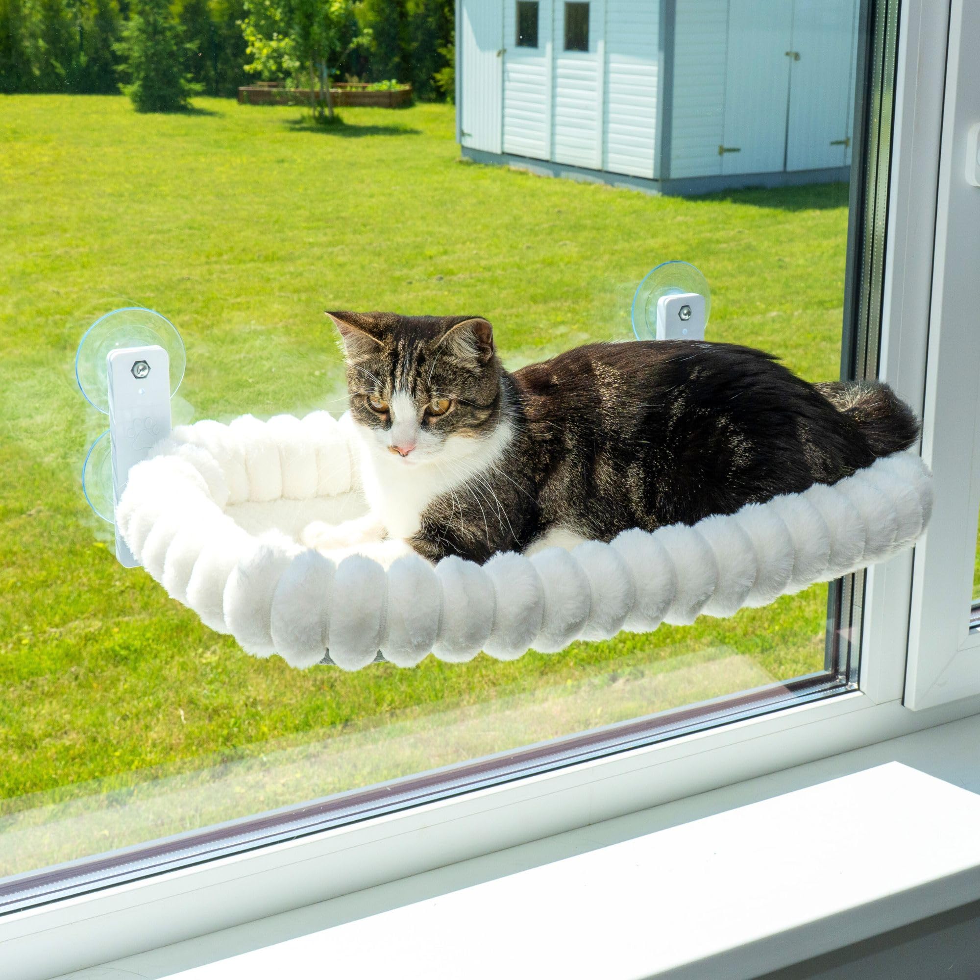 PAWRUSH Cat Window Perch — Premium Cat Window Hammock with 4 Large Suction Cups & Soft Bubble Cushion; Strong Rustproof Metal Frame Window Bed Holding 40lbs; Easy Assembly Perch for Indoor Cats; White
