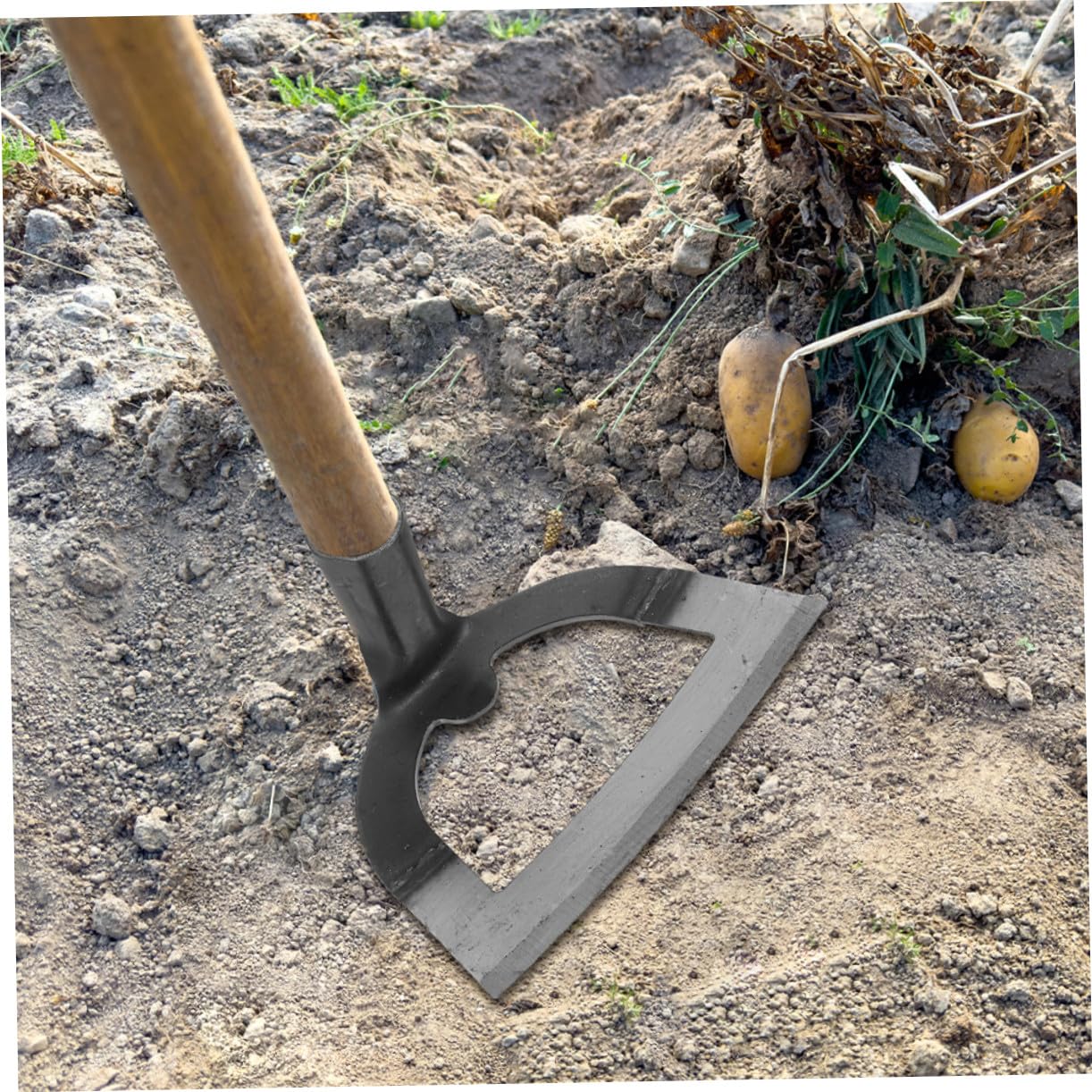 Toyvian 2 Częściowy Hollow Hoe Stali Nierdzewnej Do Ogrodu i Rolnictwa i Wytrzymały Narzędzie Do Usuwania Chwastów Rozluźniania Gleby i Pielęgnacji Roślin Przydomowych