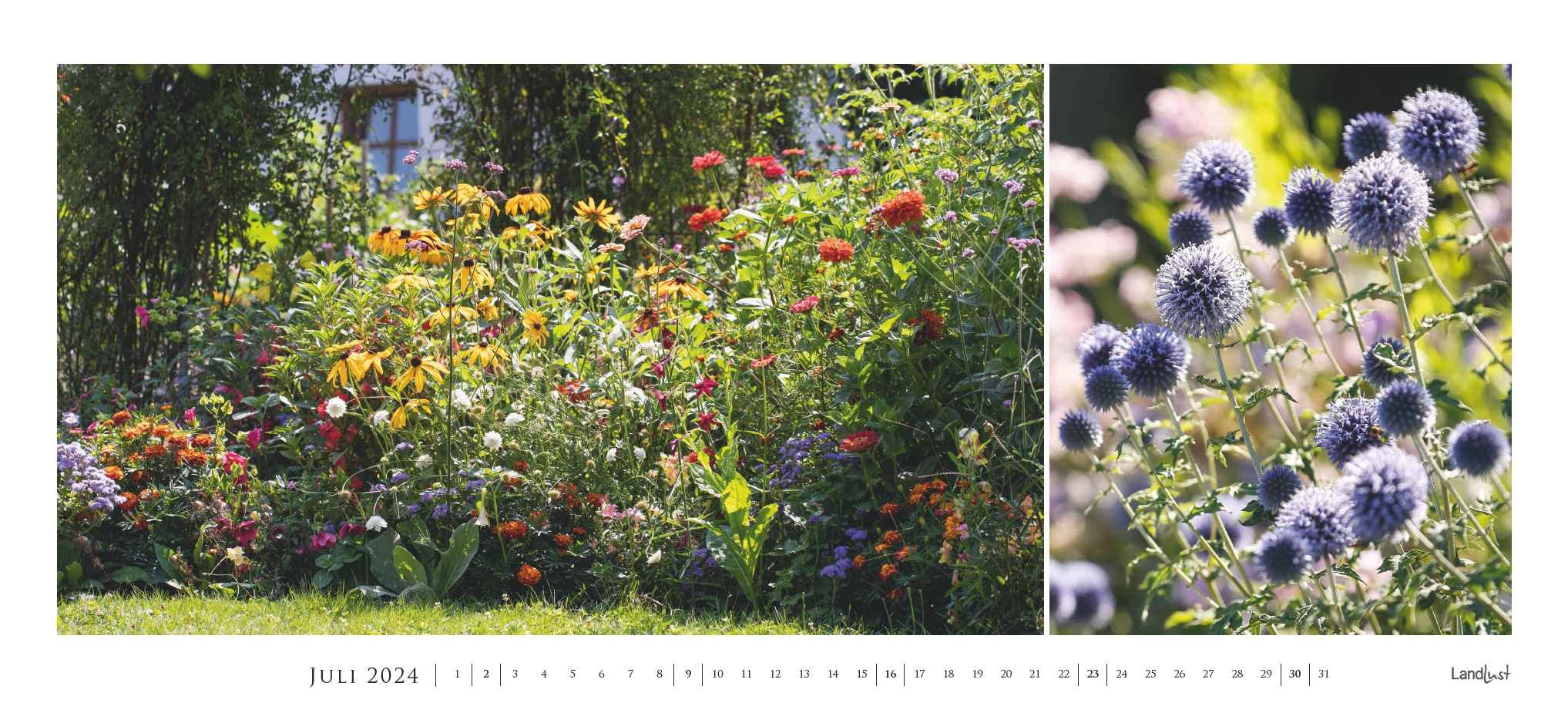 Landlust Panorama: Garten-Kontraste 2024 Wand-Kalender - Panorama-Kalender - Fotografie - Gartenkalender 110x50