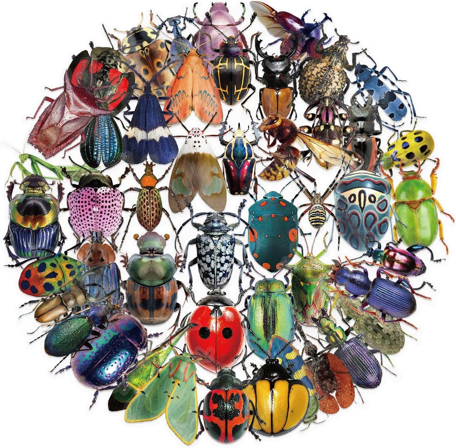 Transparent Insect Stickers 50 Pcs Waterproof Cute Animal Sticker for Water Bottle Luggage Laptop Bumper Skateboard Scrapbook Helmet Computer Bicycle,Vinyl Funny Cartoon Decals for Adults Girls