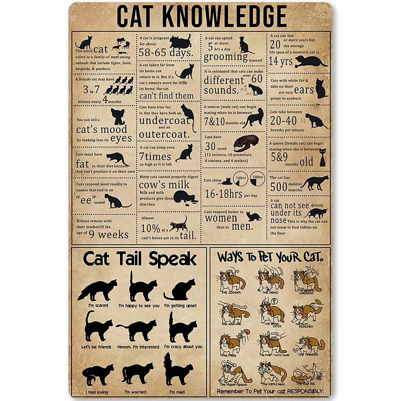 Cigar Knowledge Metal Tin Sign Infographic Poster Plaque About Cigar School Home Kitchen Club Garage Bar Wall Decoration 8x12 Inches