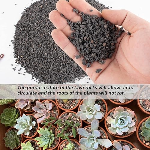 Miniatura 4 de Roca de lava negra de 3 libras para plantas, suelo de roca volcánica hortícola hortícola de 1/8-1/4 pulgadas para paisajismo decorativo, bonsái