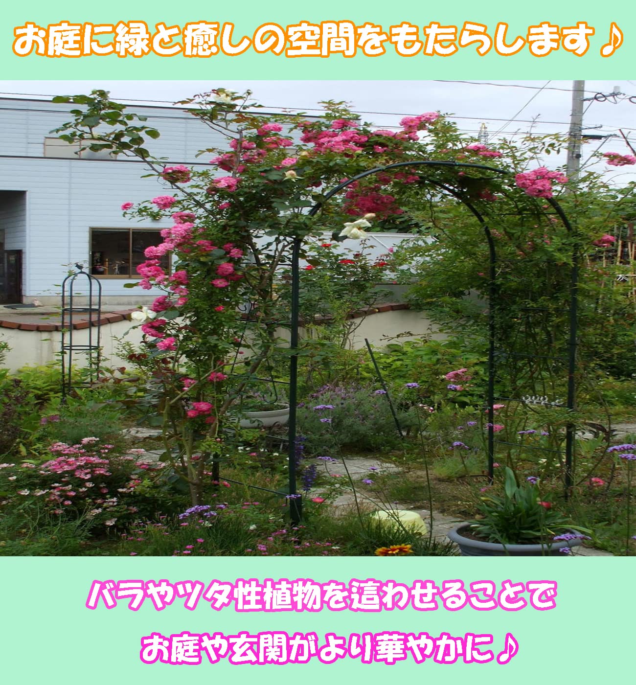 Amazon | グリーンガーデン(Green Garden) フラワーアーチ 普及型 No