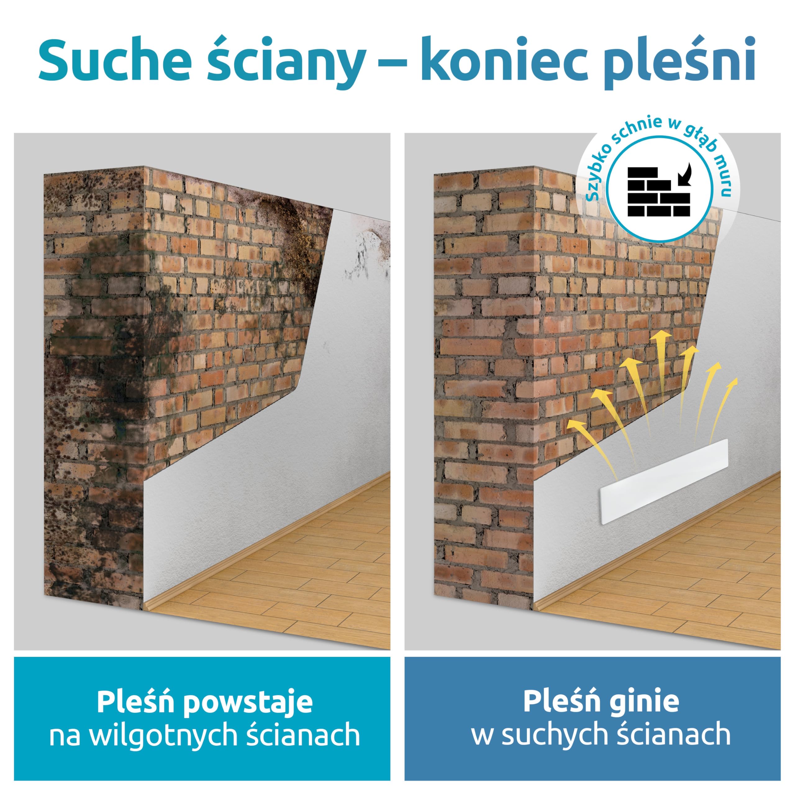 Środek do usuwania pleśni Dry – ogrzewanie ścienne bez dodatków chemicznych – moduł podstawowy – skuteczna alternatywa dla sprayu – środek przeciw pleśni do każdego pomieszczenia – wyprodukowano w Austrii