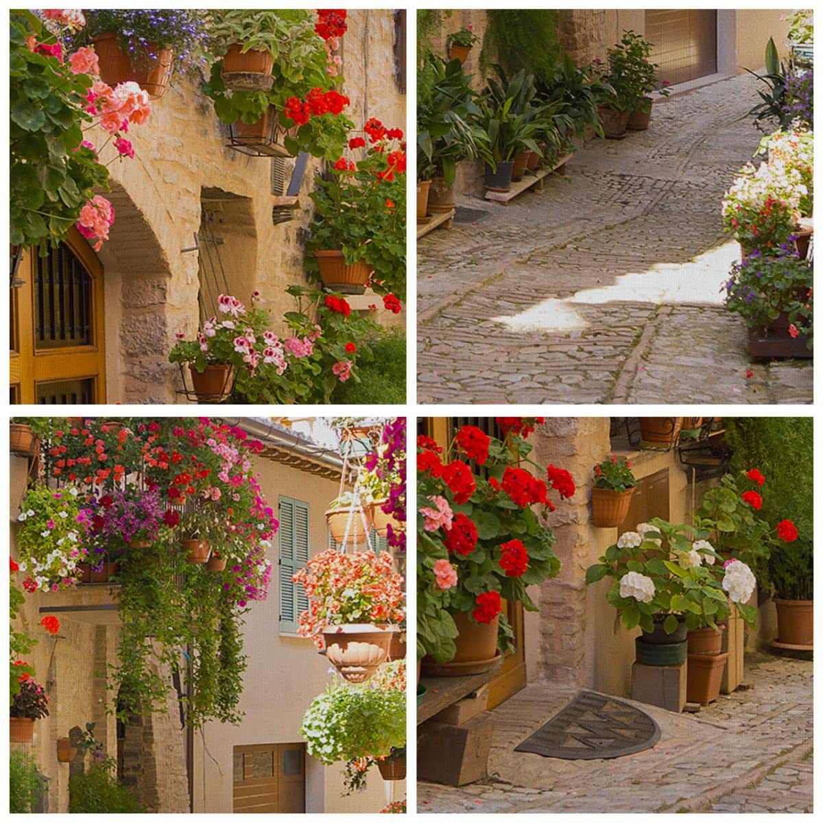Quadro su Tela 70x50 cm Stampe da Parete Architettura Botanica - 3586 | Fiore Strada Casa Quadro Decorativo Piccolo 1 pezzo Soggiorno Camera da Letto Arte da Parete Decorazione da Parete ARTTOR