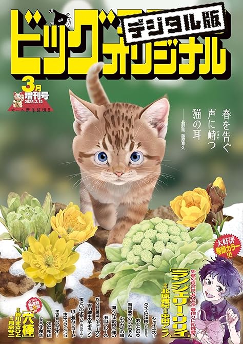 ビッグコミックオリジナル増刊 2025年3月増刊号(2025年2月12日発売)の表紙イラスト