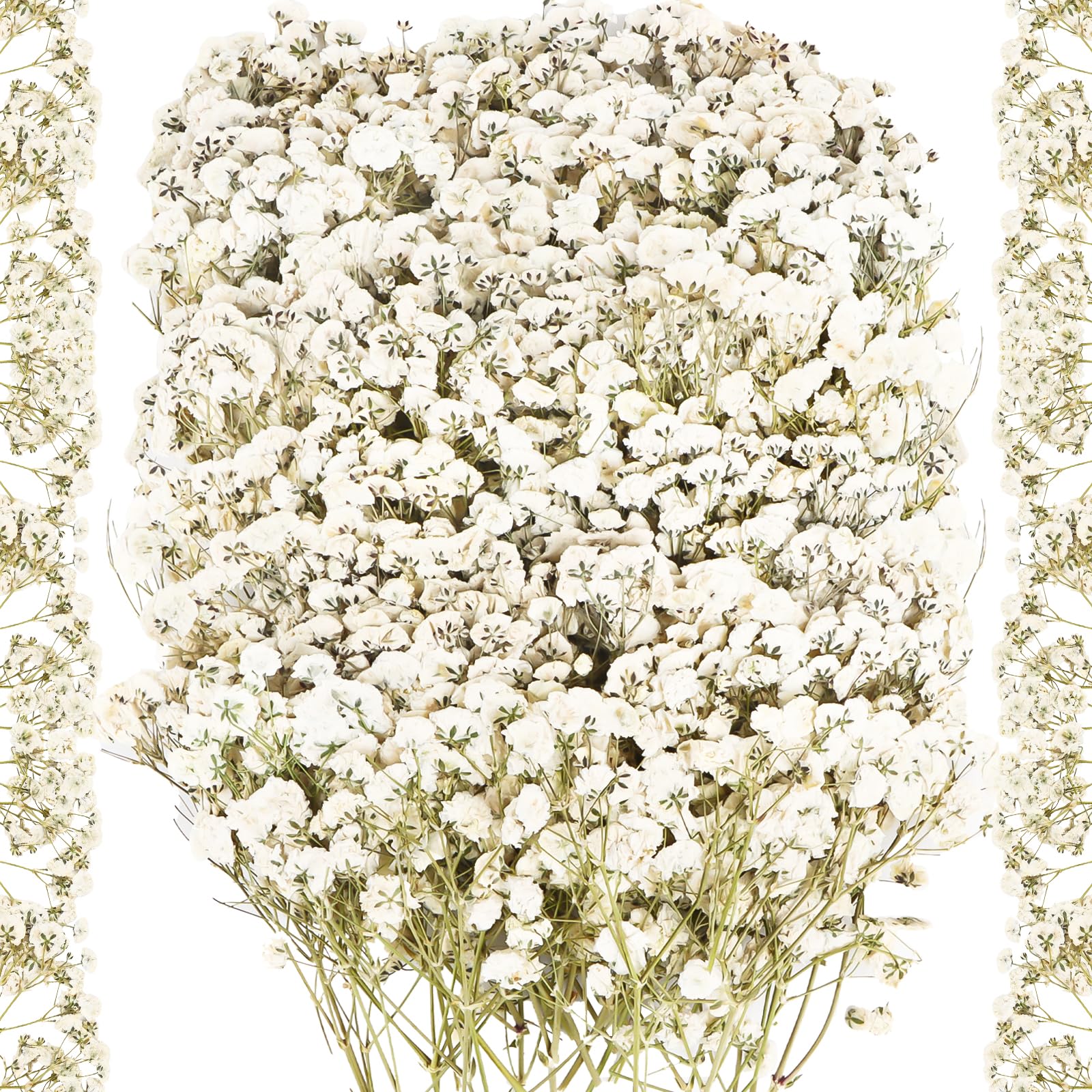 100 Stück Schleierkraut Getrocknet Natürliche Getrocknete Blumen Weiß Trockenblumen zum Basteln, Gepresste Blumen für DIY Kerzen Harz Schmuck Nagel