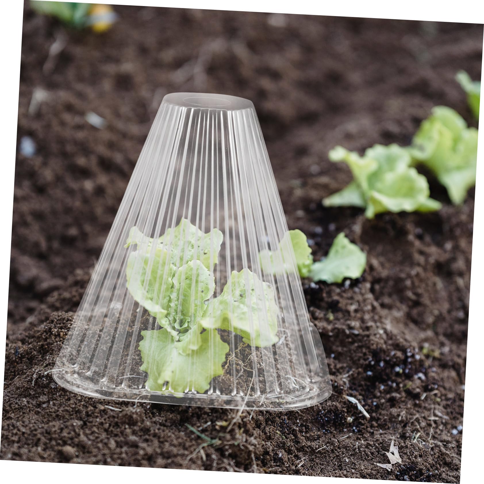 Happyyami Cloche Conique de Protection pour Plantes 10 Pièces en Pet