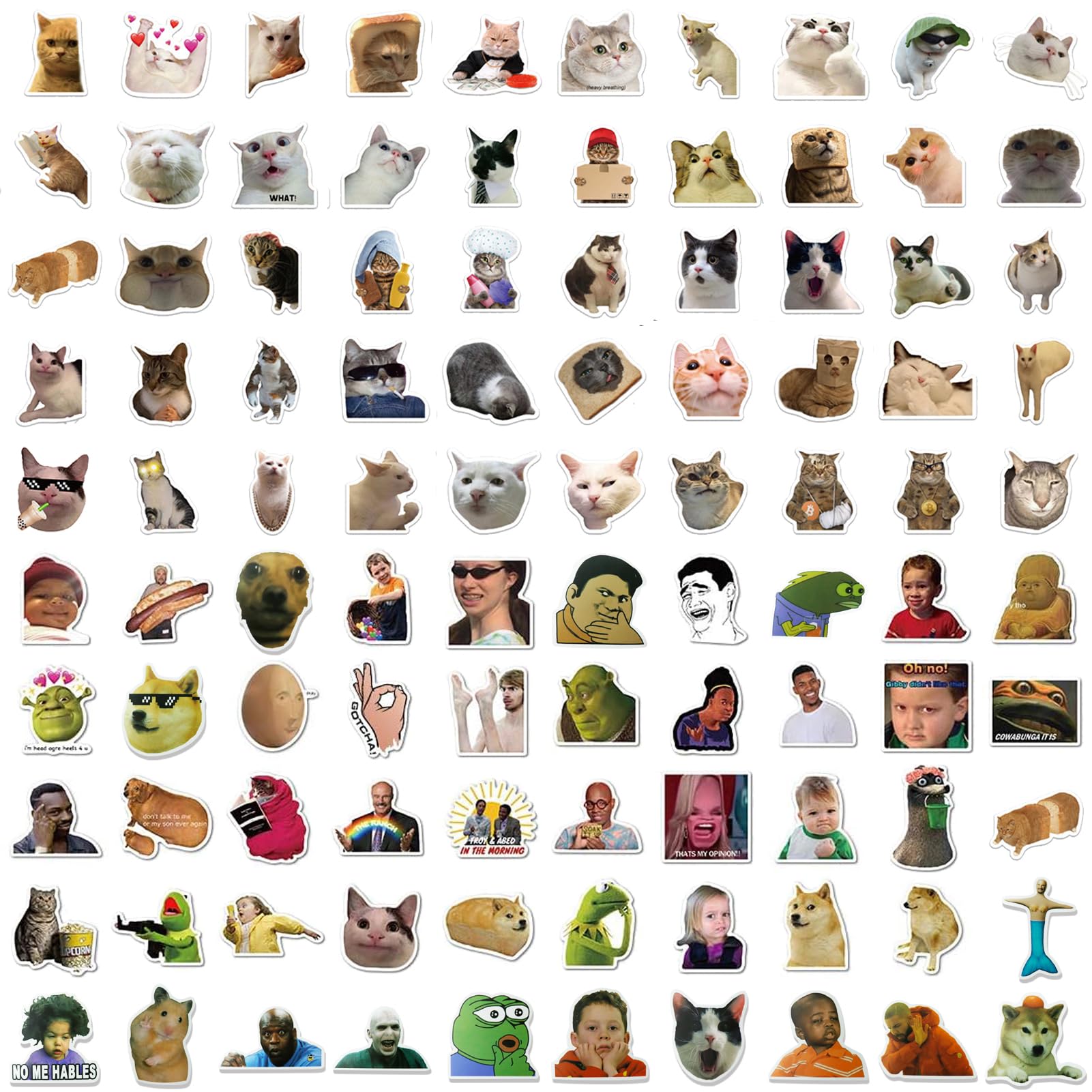 Set 100 Adesivi Meme Divertenti - 50 Gatti E 50 Meme, Per PC, Auto E Frigoriferi