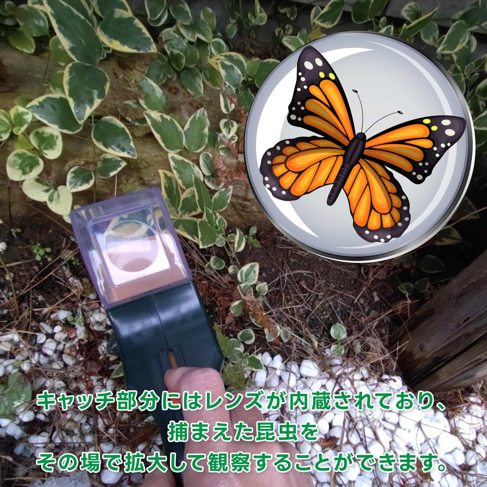 いたずら教室 野球の虫 いたずら教室 野球の虫