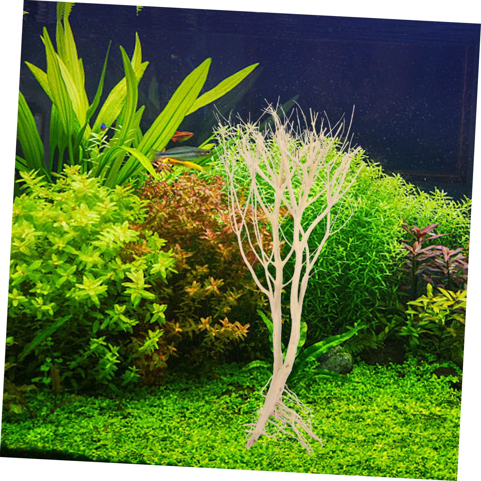 Happyyami 2piezas Decoración Acuario Madera Muerta para Paisaje Acuático Accesorios Naturales De Acuario para Peces De Agua Dulce y Salada Elemento De Diseño Natural