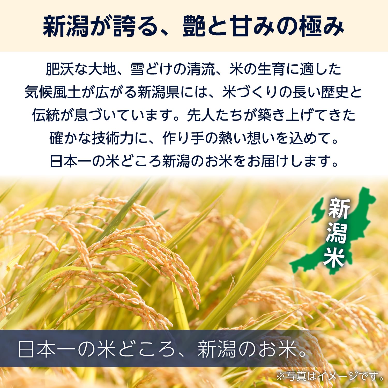 Amazon.co.jp: by Amazon 新潟県産 ゆきん子舞 無洗米 5kg 令和7年産