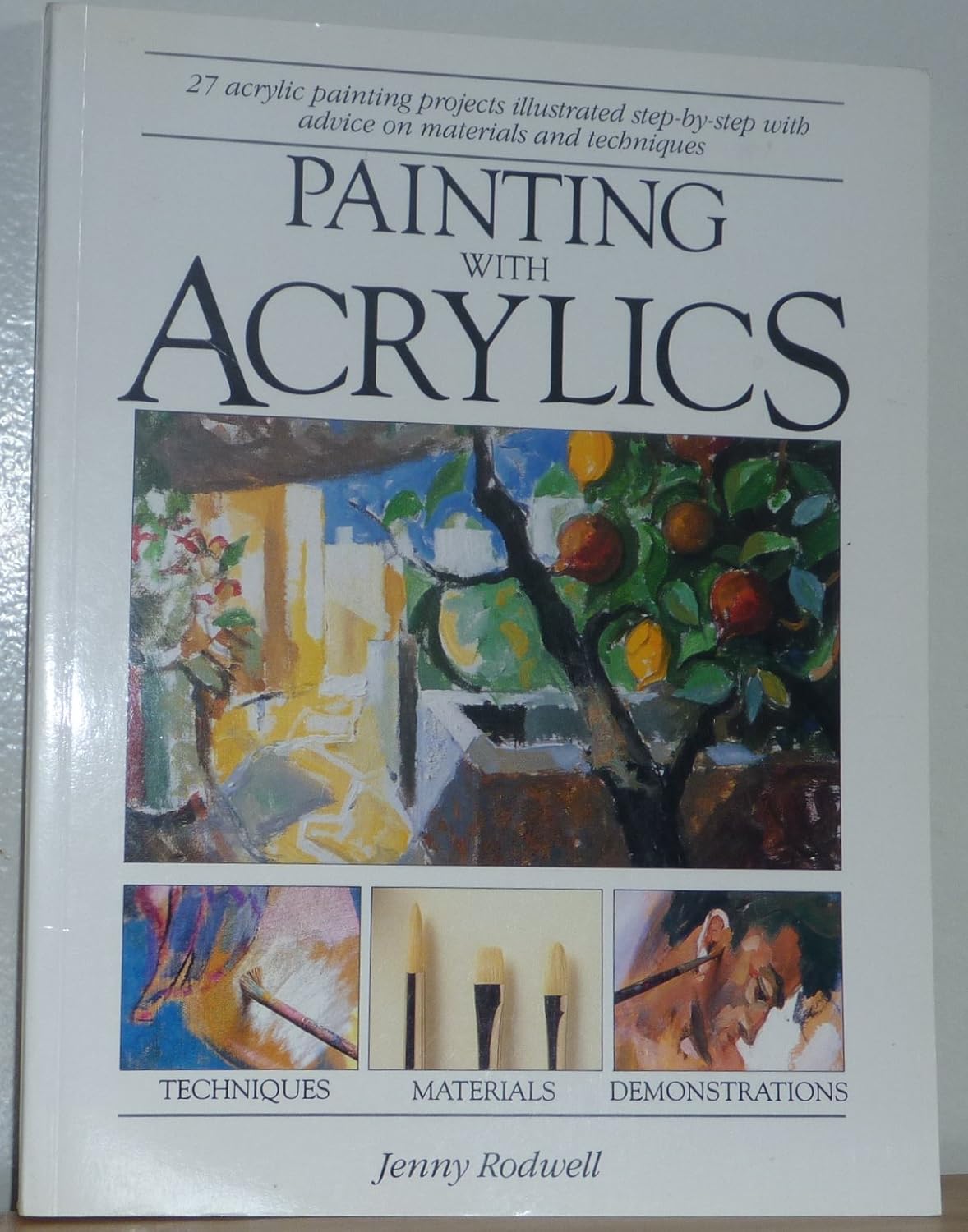 Amazon Painting With Acrylics 27 Acrylics Painting Projects