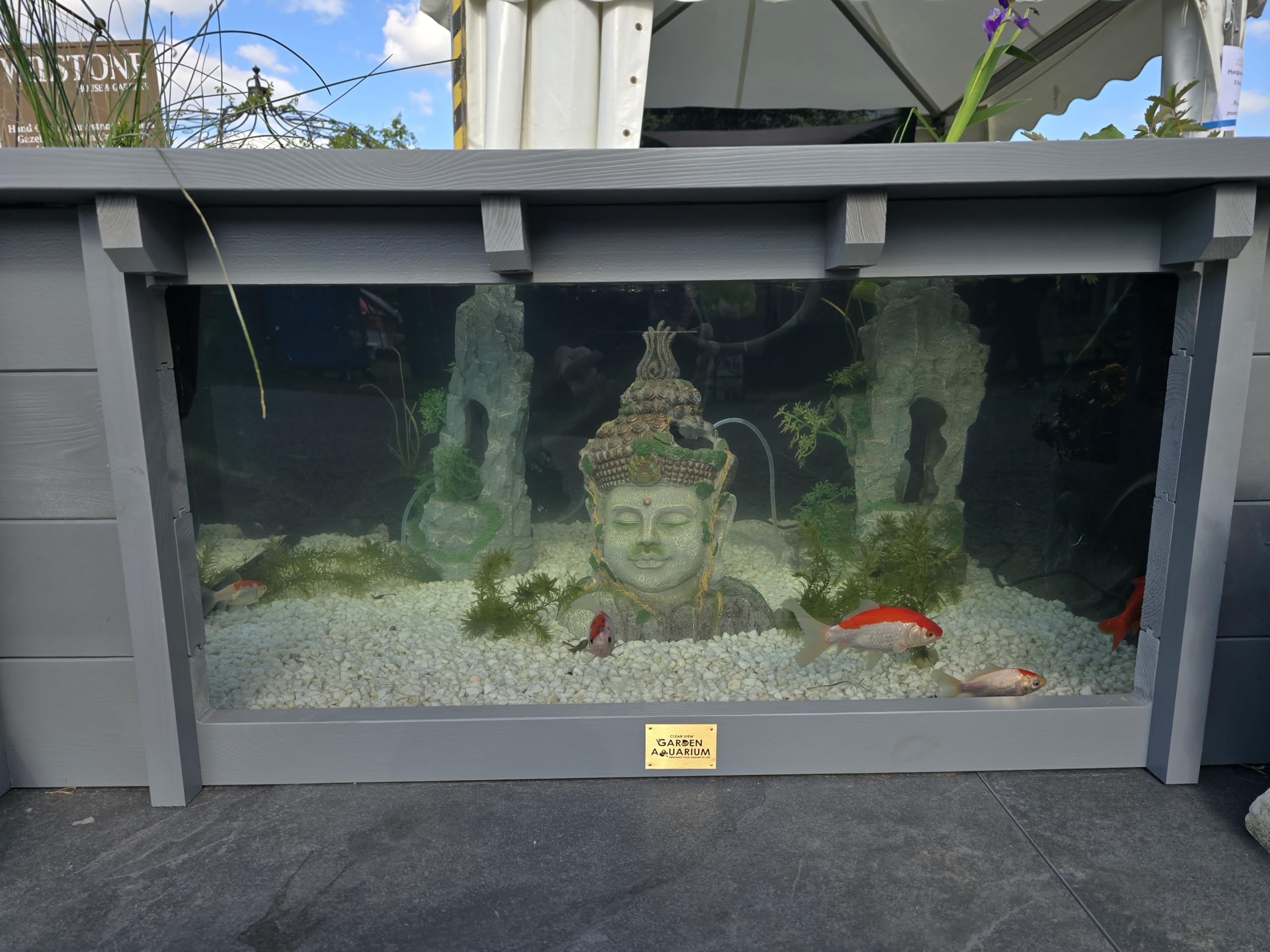 Clear View Garden Aquarium Lotus Bassin de jardin carré surélevé avec fenêtres