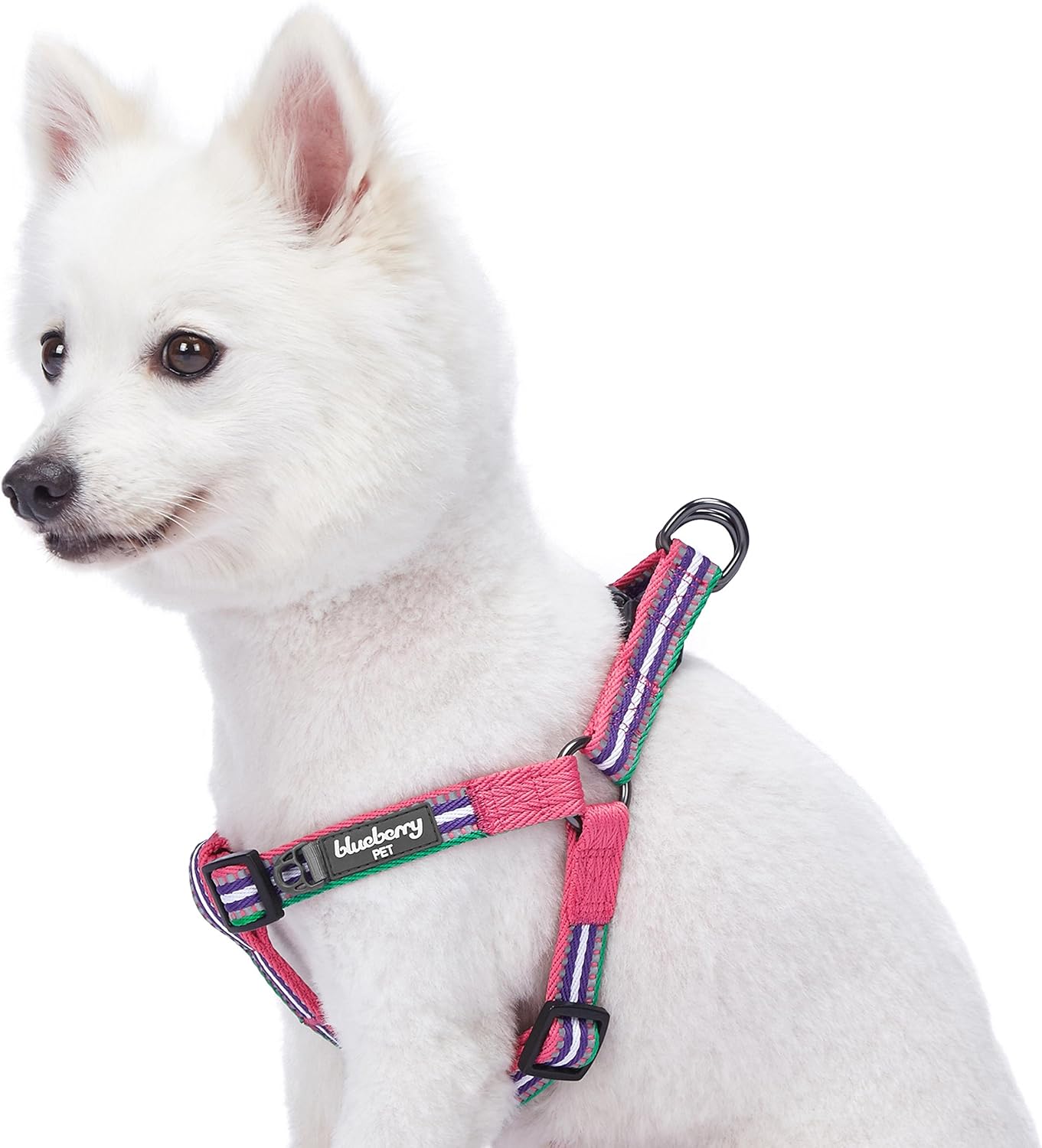 Blueberry Pet 5 Colors Step-in 3M Reflective Multi-Colored Stripe Padded Dog Harness, Chest Girth 20" - 26", Pink, Emerald & Orchid, Medium, Adjustable Harnesses for Dogs