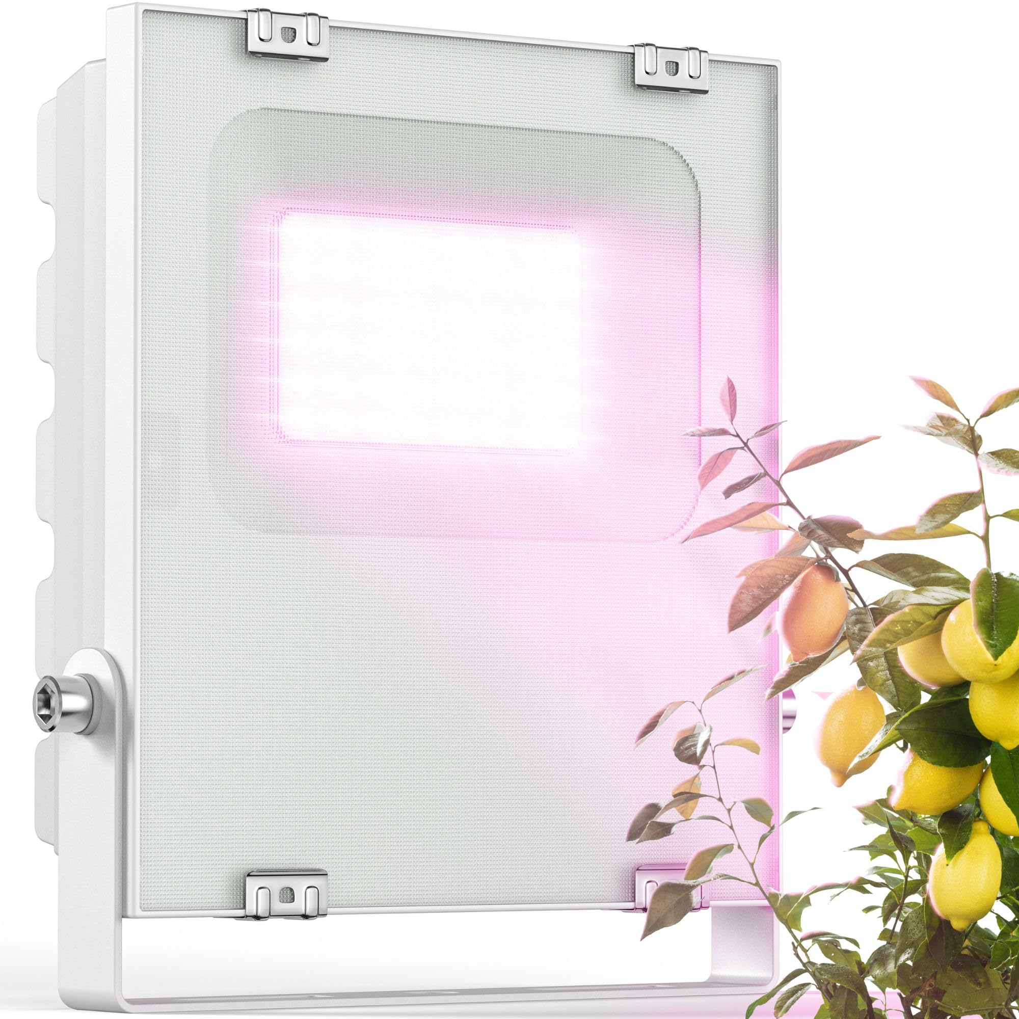 Meine Orangerie - Lampe LED pour l'hivernage des plantes méditerranéennes - Développée avec des experts en agrumes. Lumière à spectre complet pour plantes (35)