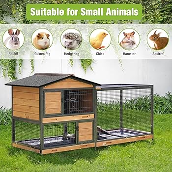 Amazon.com: Rabbit Hutch with Metal Frame, 62'' Large Rabbit