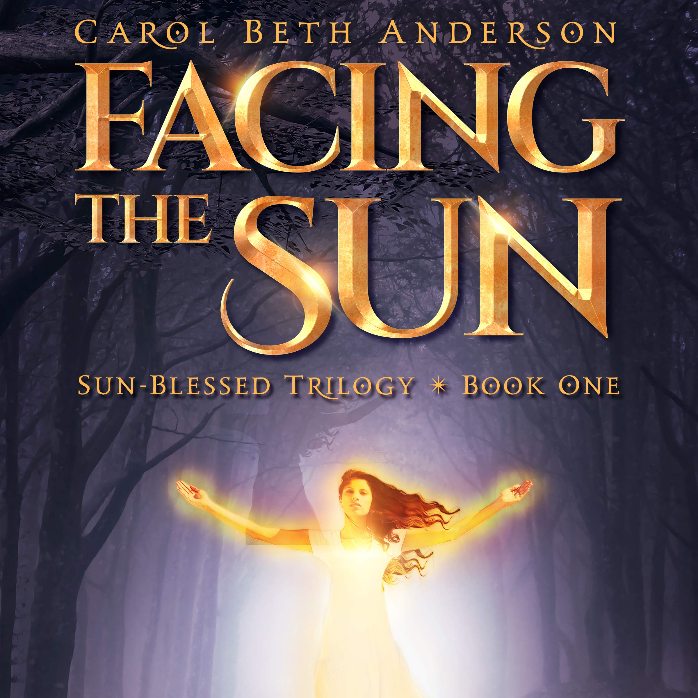 Cover art for Facing the Sun