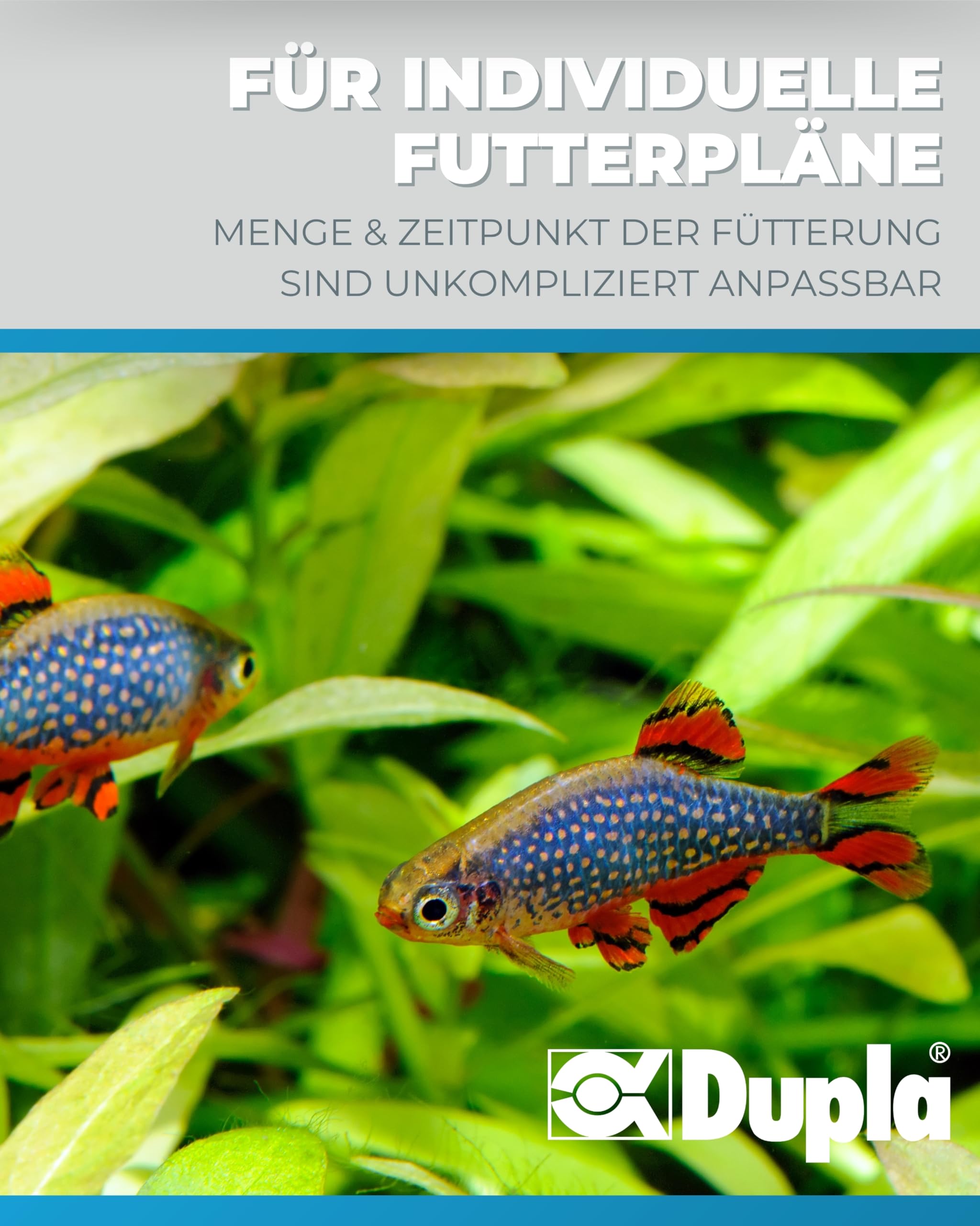 Dupla DuplaMatic I programmierbarer Futterautomat für Aquarien I Fischfutter-Spender für bis zu 6 Fütterungen pro Tag I 60 ml Kapazität I Aquarium-Futterspender