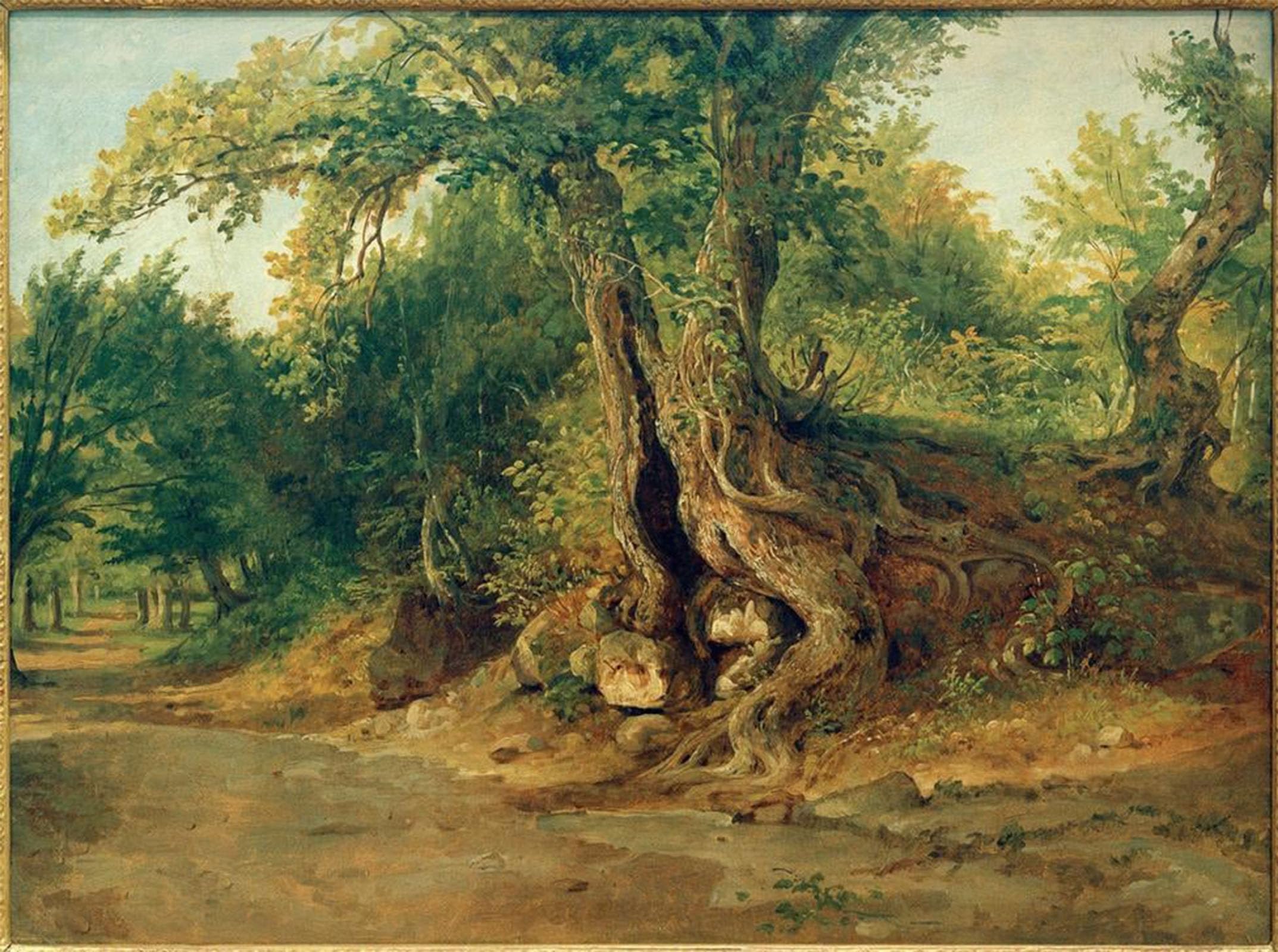 RZHRHJES Abstract Painting Poster Art Print Canvas Print Poster C Morning Star Grove Near Ariccia with Holm Oaks by Carl Morgenstern Landscape Canvas Painting for Home Decor 60x90cm