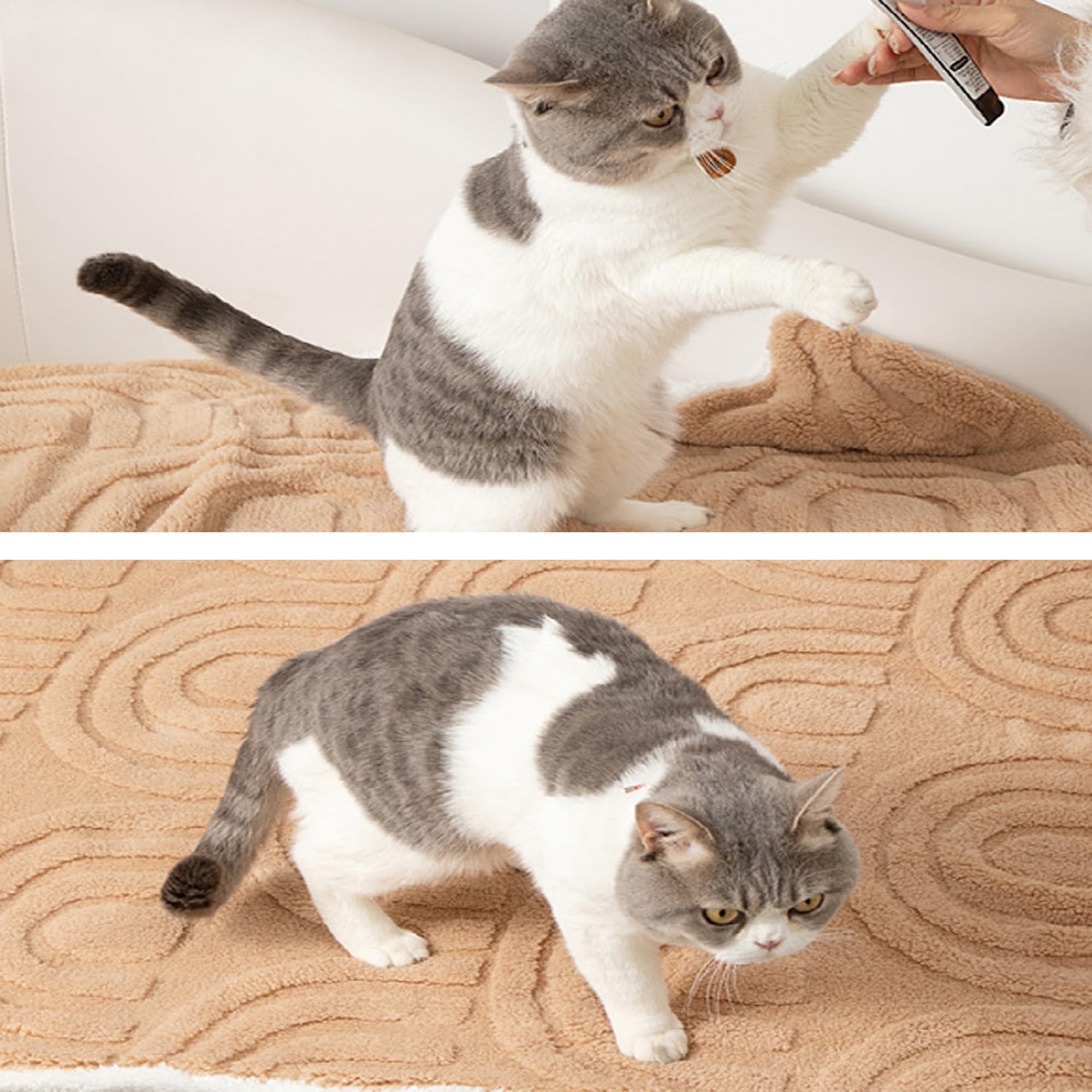 Paquete de 2 mantas grandes para perros, mantas lavables para perros y gatos pequeños y medianos, mantas calmantes para mascotas, para sofá, cama, automóvil, manta cálida para gatos, manta