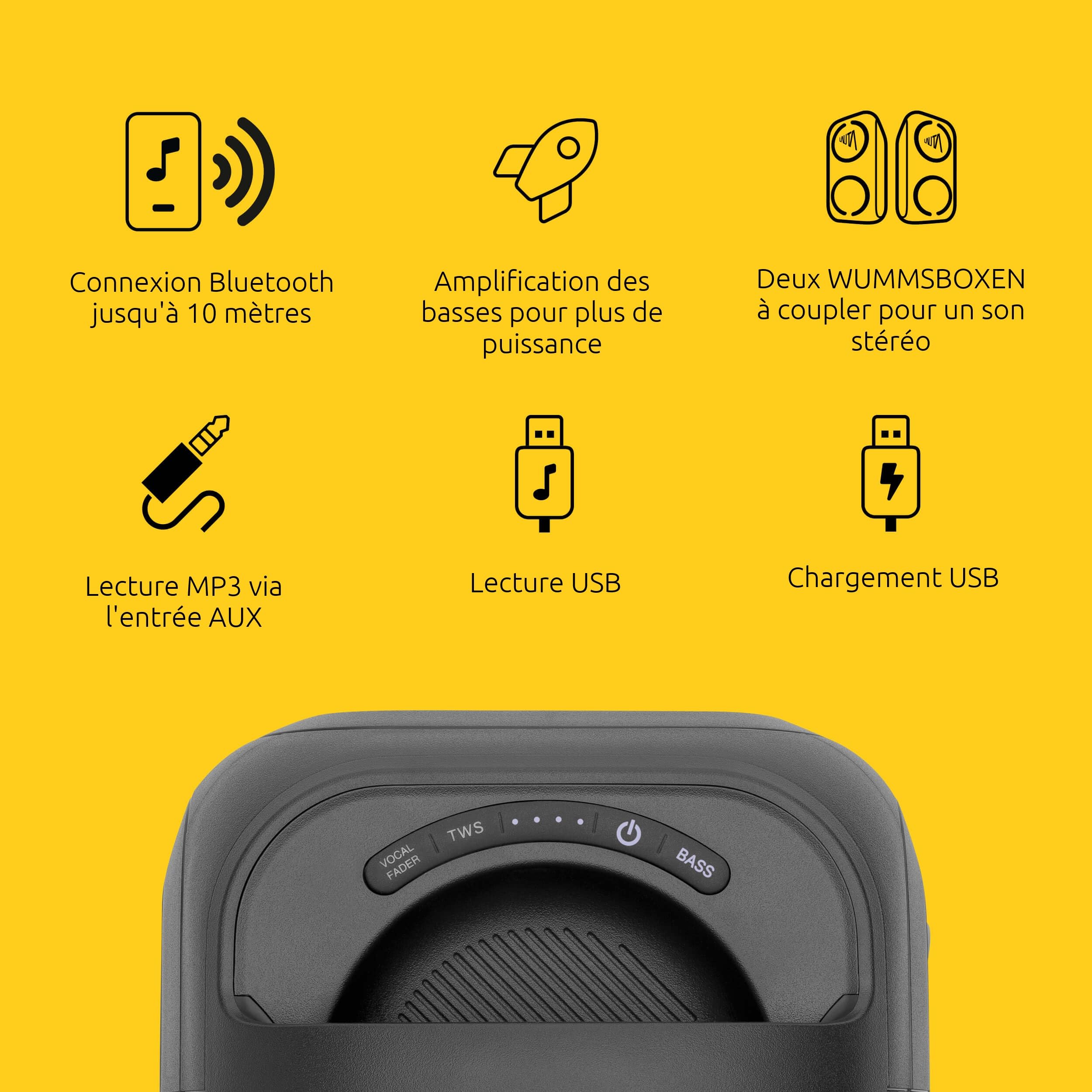 TechniSat LAUTA WUMMSBOX - Enceinte Bluetooth Portable Premium