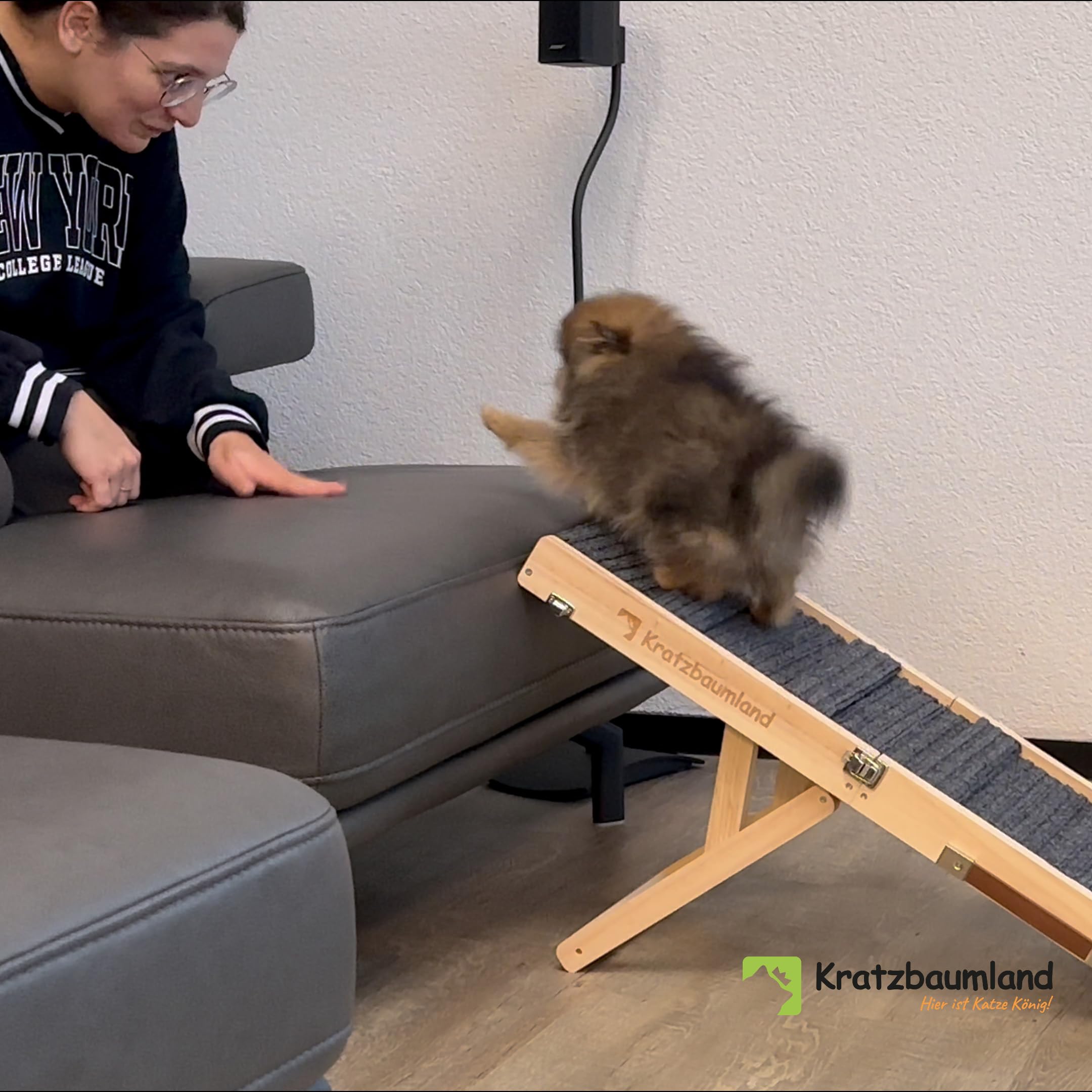 Kratzbaumland Hunde- und Katzenrampe faltbar und höhenverstellbar für Hunde und Katzen Hundetreppe Katzentreppe (Grau)