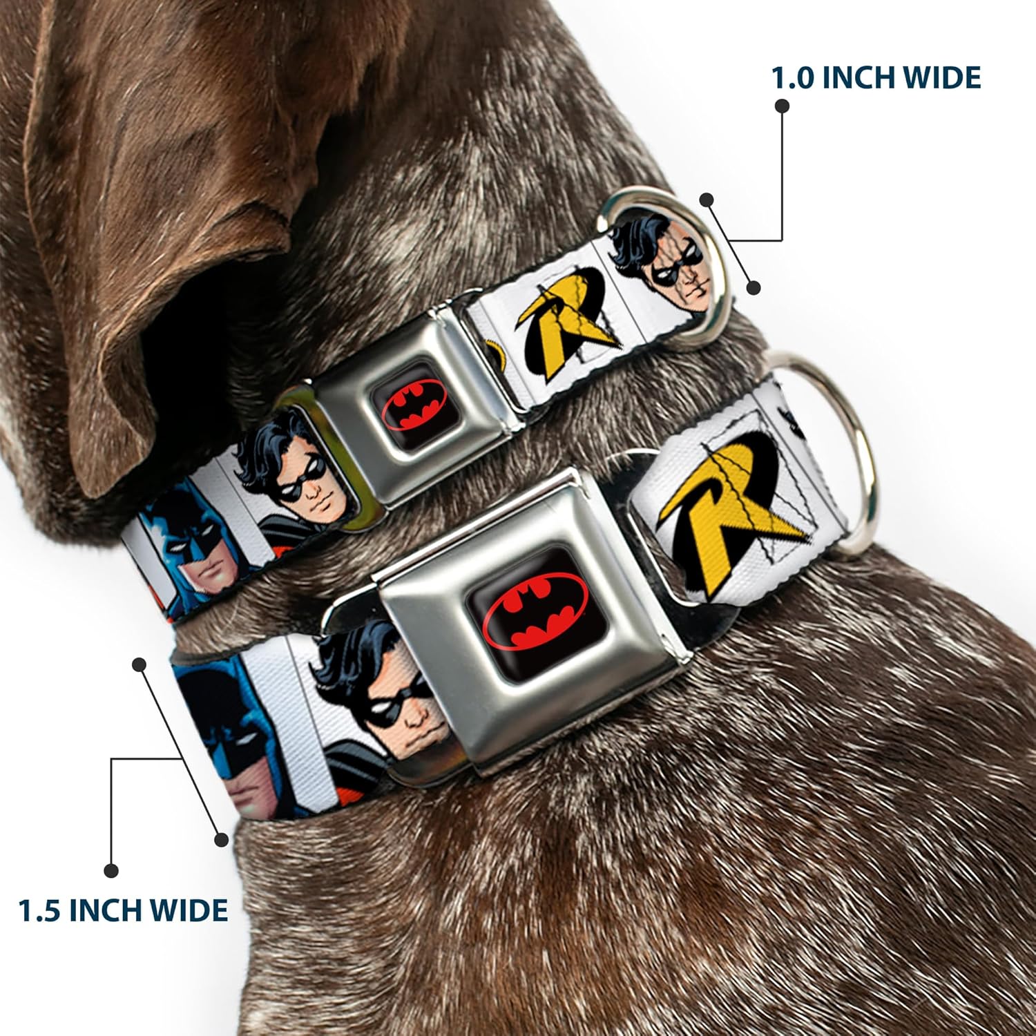 Buckle-Down Seatbelt Buckle Dog Collar - Batman & Robin Blocks White - 1" Wide - Fits 15-26" Neck - Large